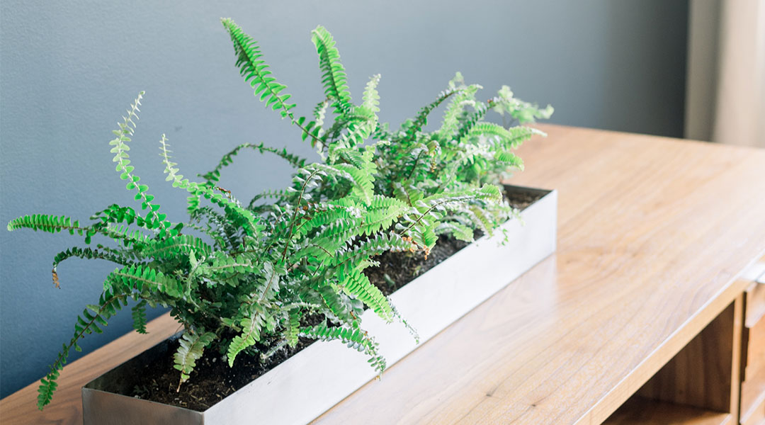 furniture-12 agentic commerce